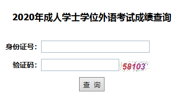 2020年湖北经济学院成考学位英语成绩查询入口已开通