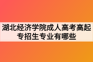 湖北经济学院成人高考高起专招生专业有哪些