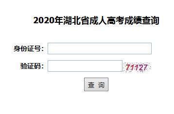 湖北经济学院成教本科成绩查询