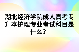 湖北经济学院成人高考专升本护理专业考试科目是什么?